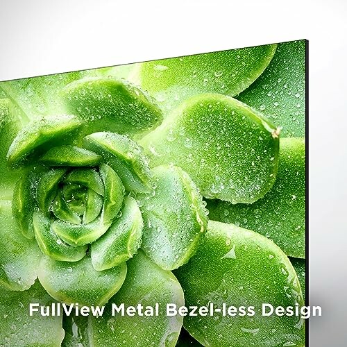 Close-up of a bezel-less screen with green succulent image.